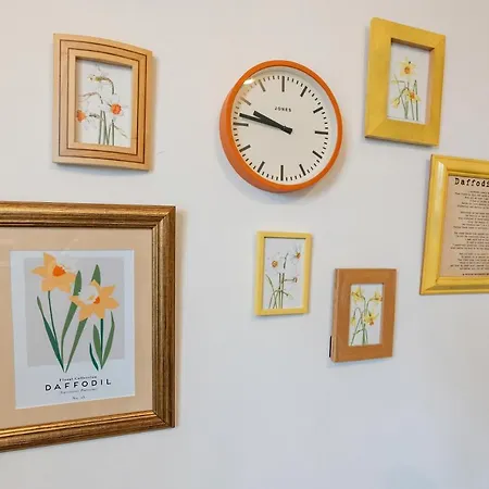 Daffodil House * 코커머스
